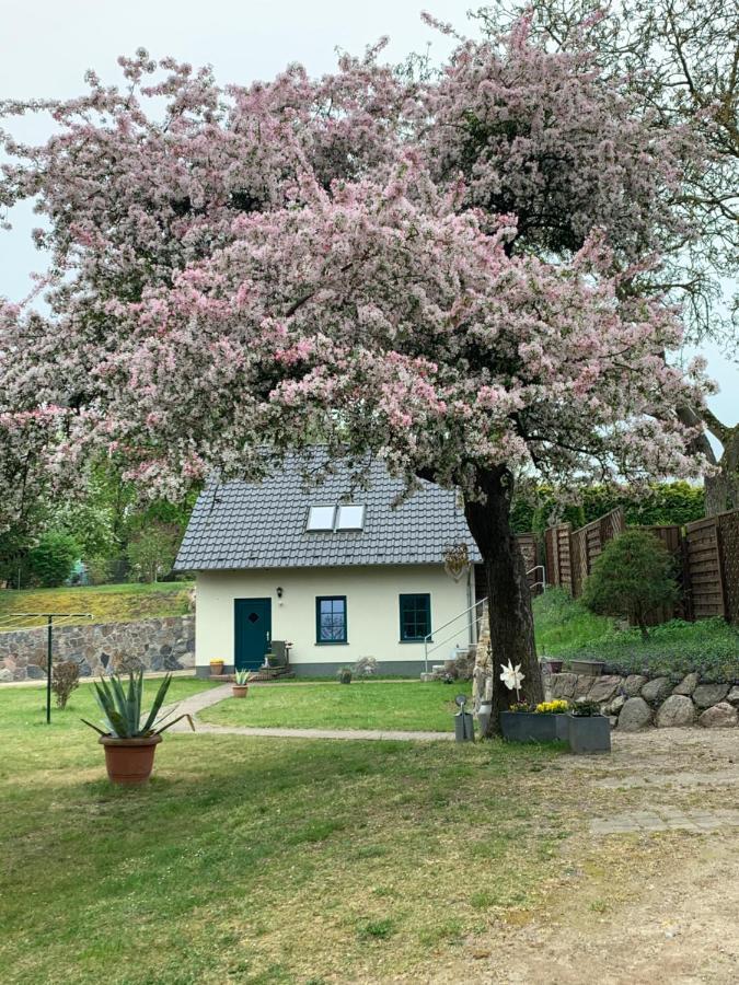 „Rentmeisterhaus Basedow“ Basedow  Exterior foto